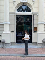 Pintuck shirring blouse