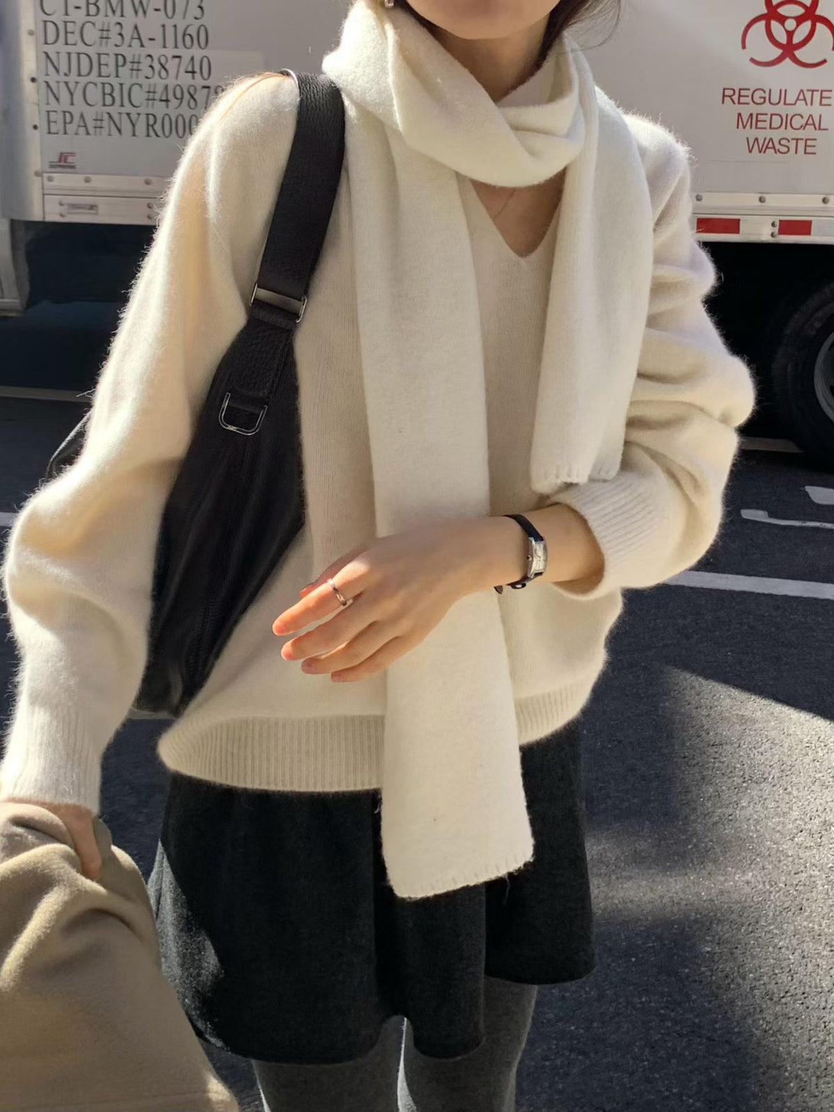 Raccoon v pullover knit